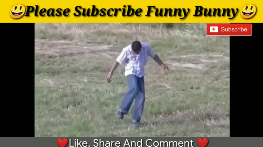 Watch the funniest bull videos😂😂😂😂😂