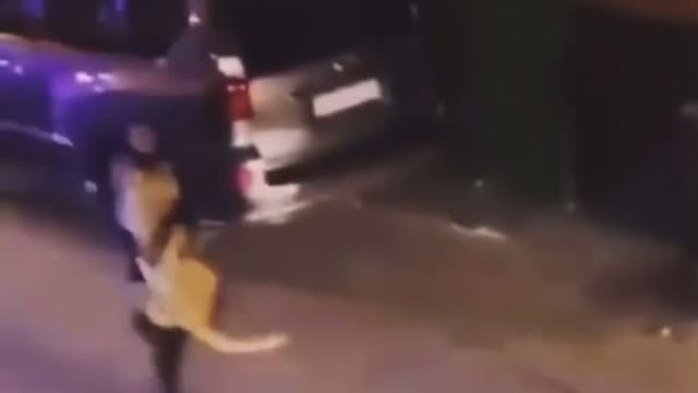 Wait…. What 🐅🐅😨😱