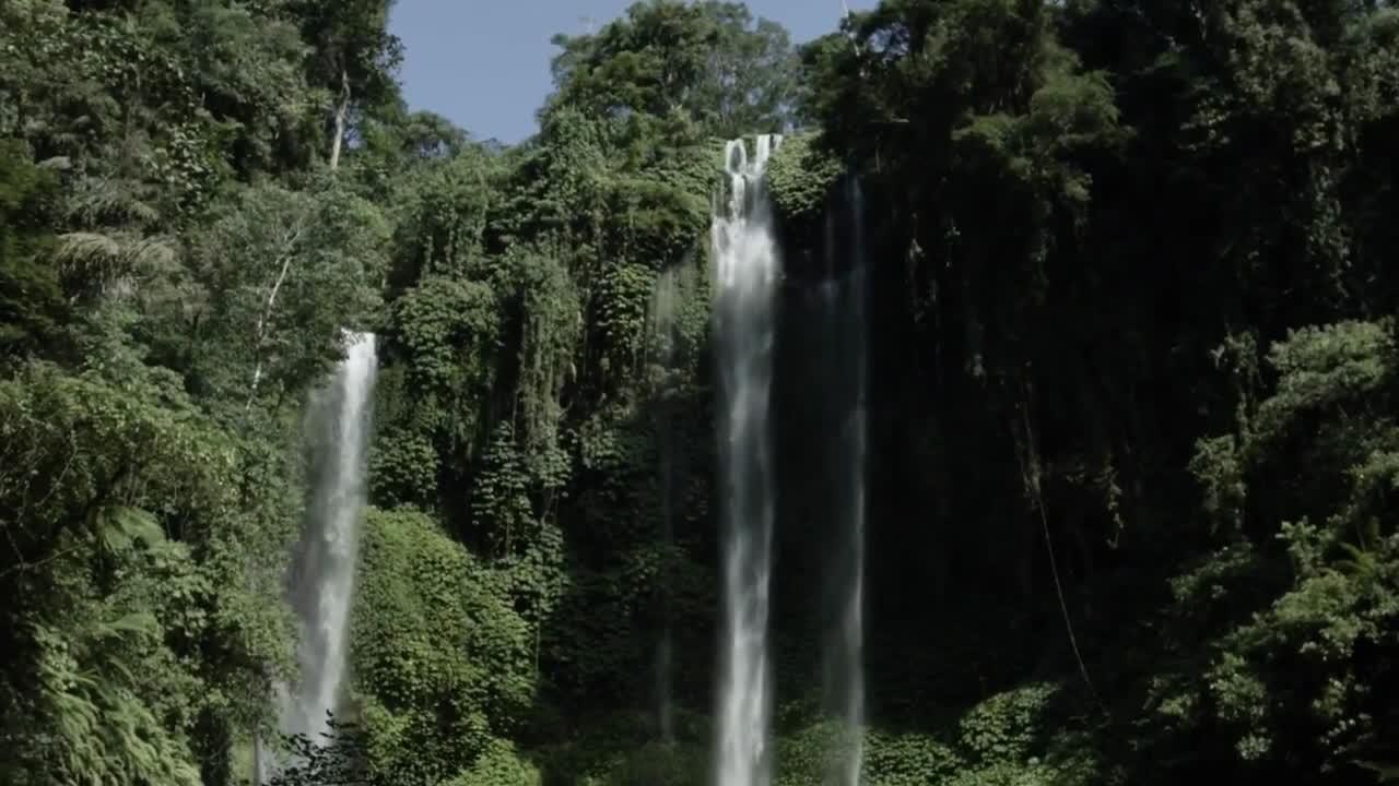 Forest Waterfall