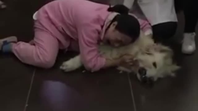 Heartbreaking moment owner says goodbye to her beloved dog