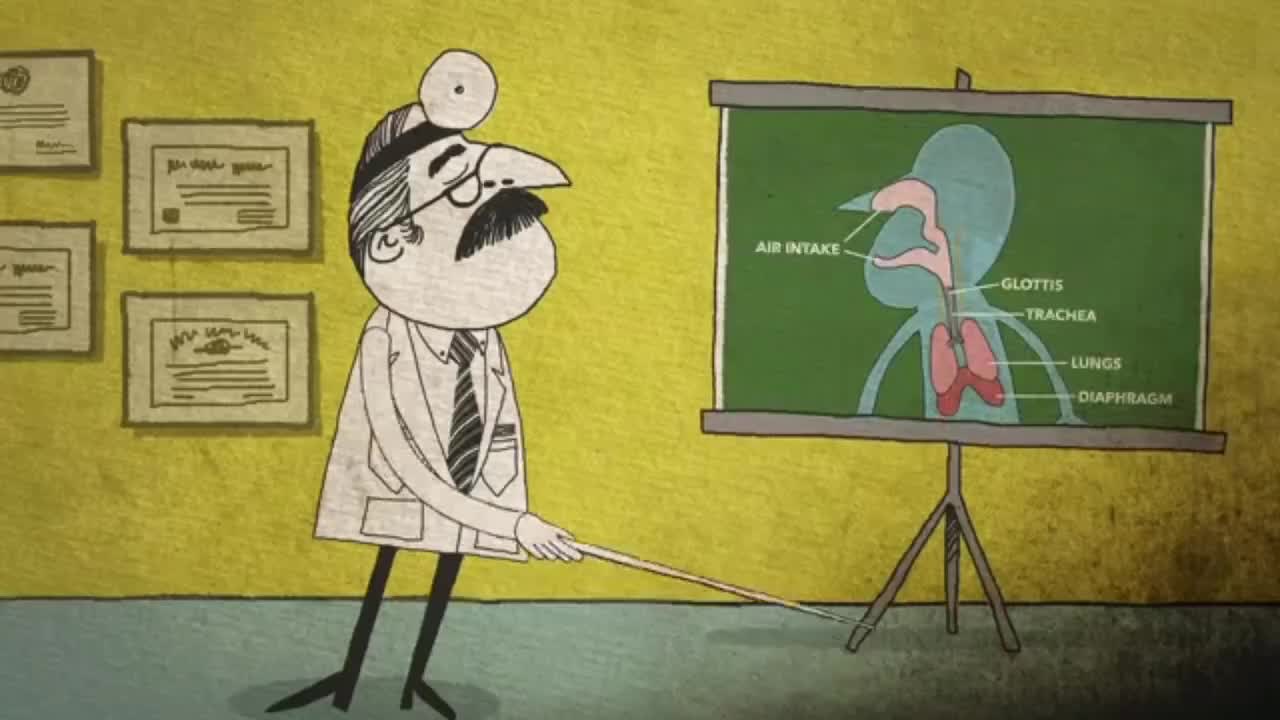 Why do you hiccup? Did you know that the longest hiccup on record is 68 year