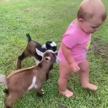 Fun Time baby playing