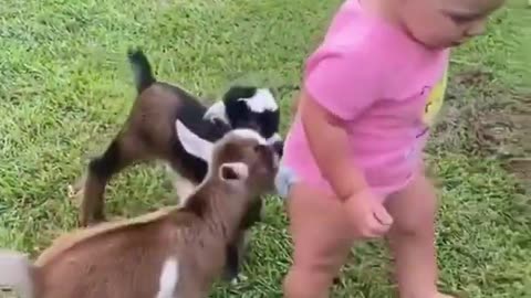 Fun Time baby playing