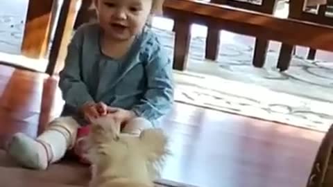 funny video baby girl and dog