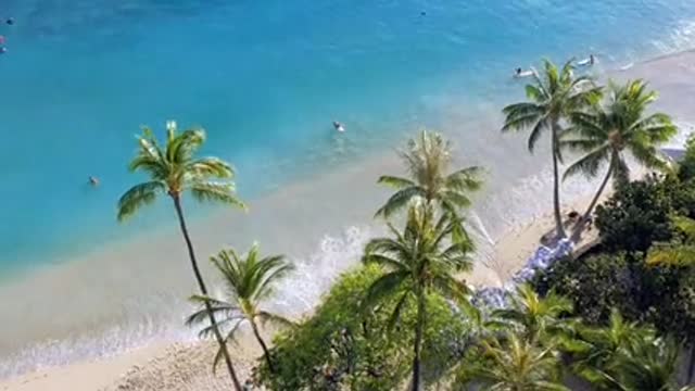 Nature video beautifull video sea bech