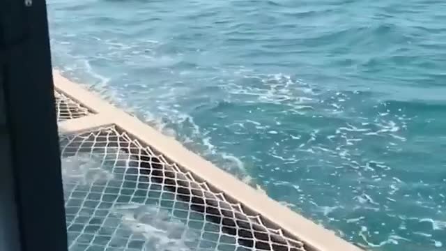 She lay reading on the guard net of the speedboat.