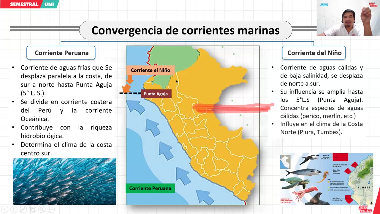 SEMESTRAL VALLEJO 2024 | Semana 12 | Geografía | Historia | RV | Química S1