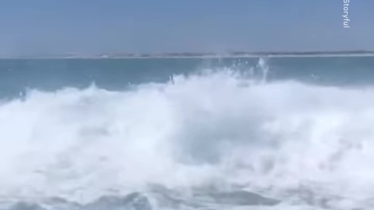 Fishermen Shriek With Delight as Whale Breaches Next to Boat