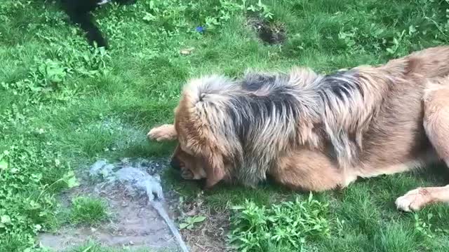 water extraction is a troublesome business