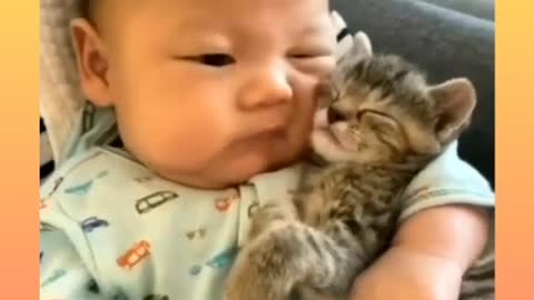 Cat baby love..