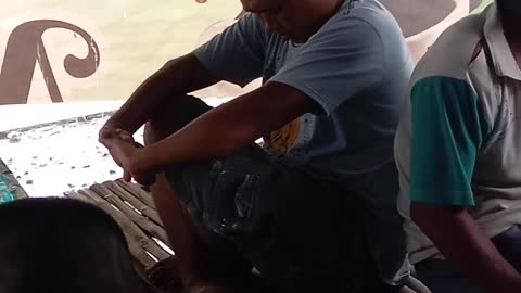 Very Sleepy funny