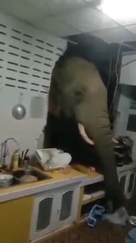 Next time. Please answer the door 🤣😂🤣