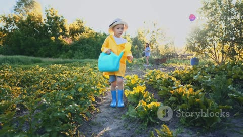 School Garden
