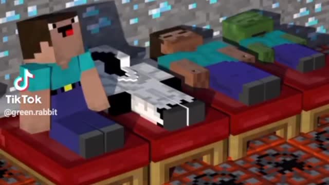 Minecraft Animation Funny Videos