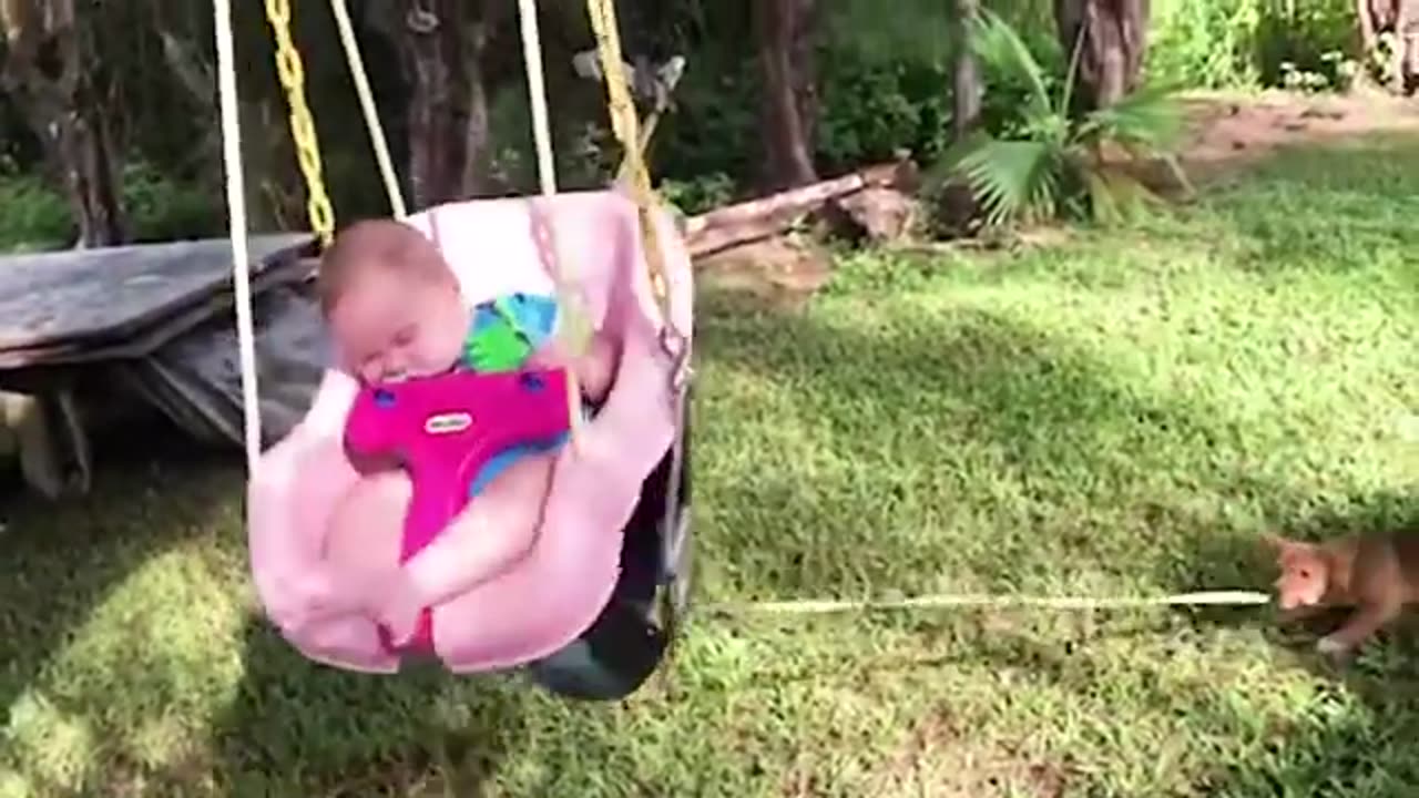 Cute babies falling asleep Compilation - Funny Babies Videos