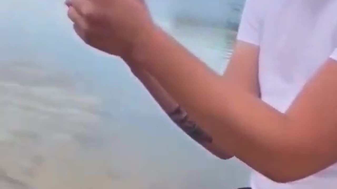 When animals attack on person 😂 || Funny 🤣|| #shorts #youtubeshorts #comedy #viral