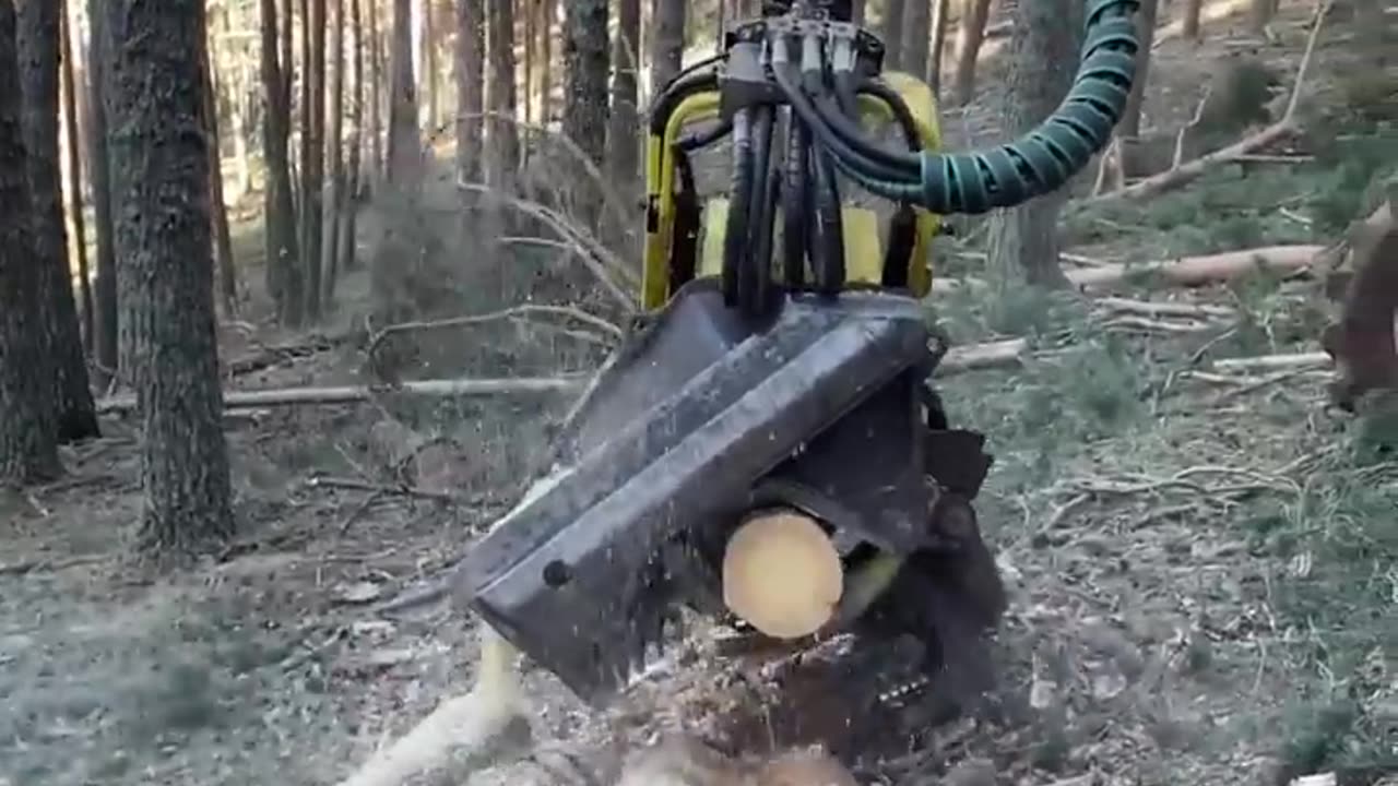 🔥 🔥 smart worker