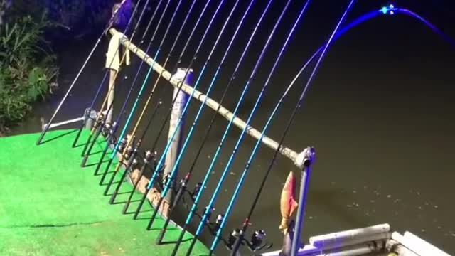 Best Fishing Video