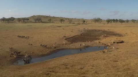 Sarova Salt Lick