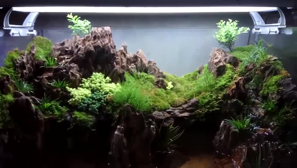 Landscape works in fish tanks(13)