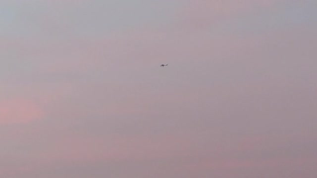Jackson flight