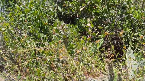 I almost bit the dust...