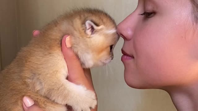 Beautiful girl and cute kitten