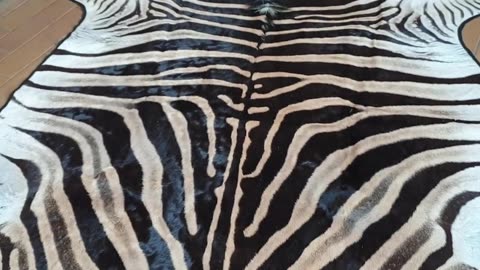 Felted Zebra Skin for client no5