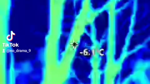 Thermalimaging of the trees in the day