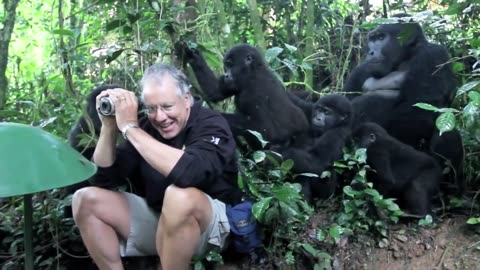 Gorilla Family Checking Photographer