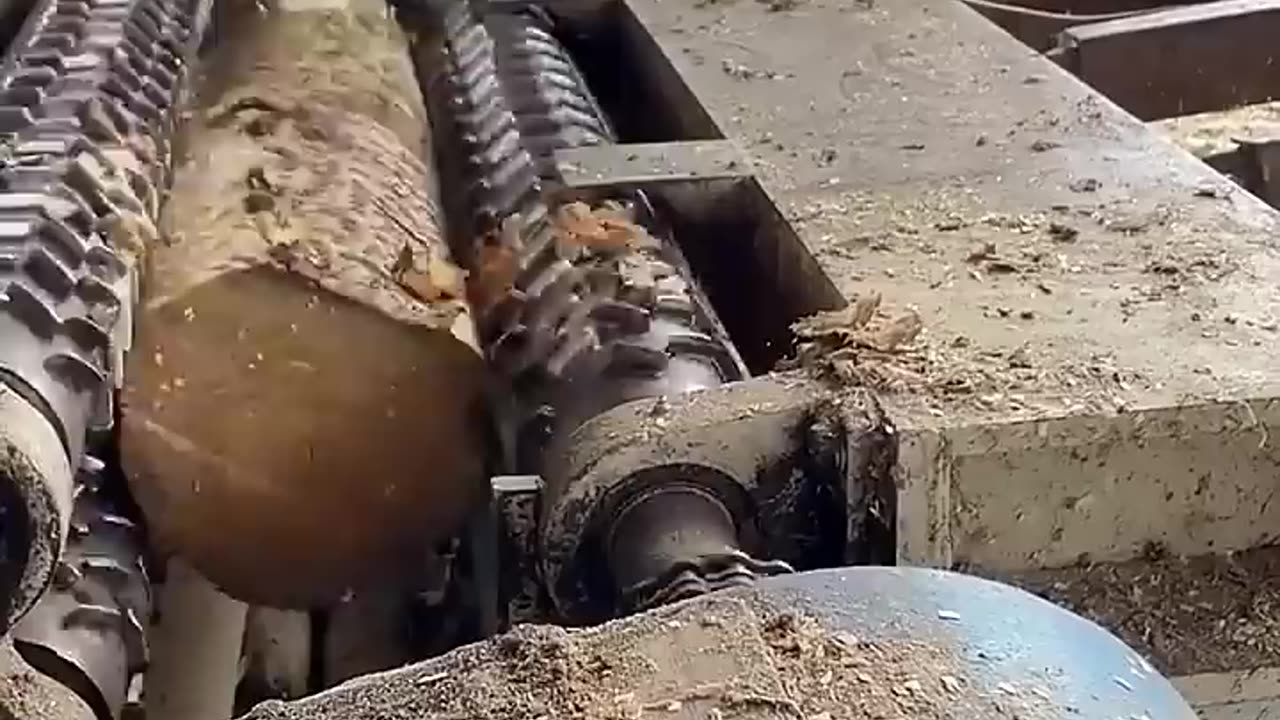 #Tree straightness polishing process- Good tools and machinery make work easy(1)