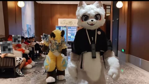 Furry Douyin #14