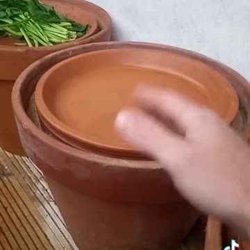 Terracota pot fridge! (Non electric)