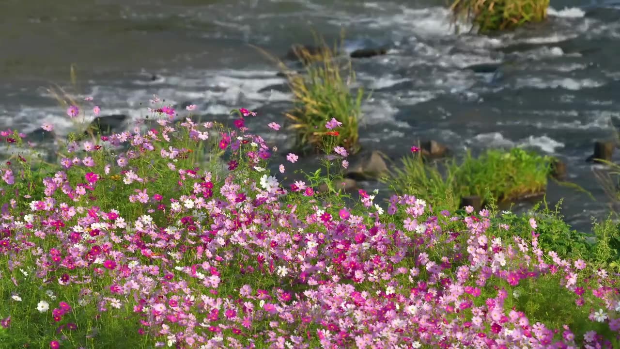 Find calm in the rhythm of your breath and let it bring you back to the present moment – Meditation.
