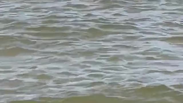 The dog, the fail, the laughing. This clip as it all!