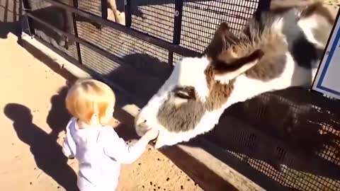very funny video with children and animals #9