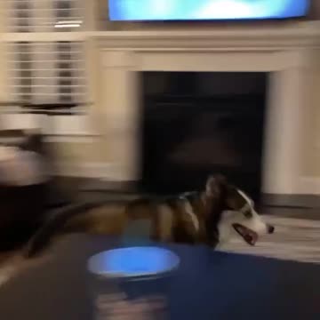 I thought her butt was itchy 🤣