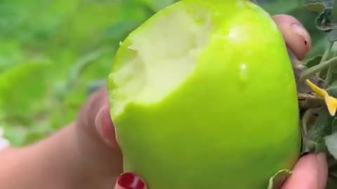 Green apple video