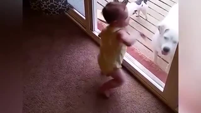 Kids vs. Glass Doors Fails | Funniest Door Fails 2021