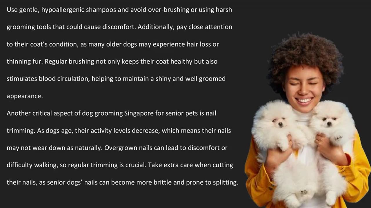 Senior Dog Grooming: Techniques for Healthier, Happier Pets — The Pets Workshop