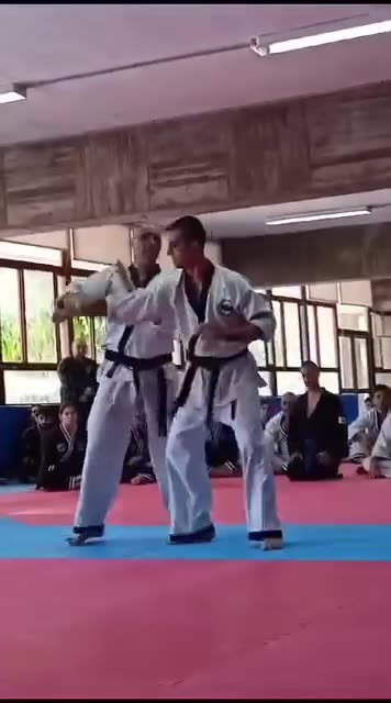 Hapkido