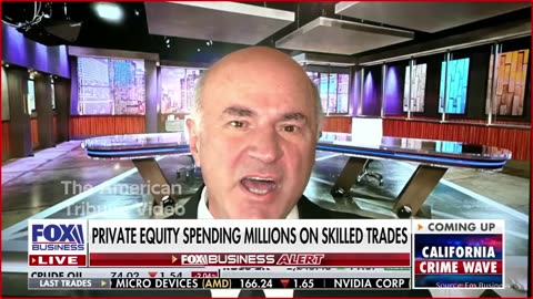 “Release the Hounds”: Mr. Wonderful Says Elon Slashing Government Waste is an Excellent Idea