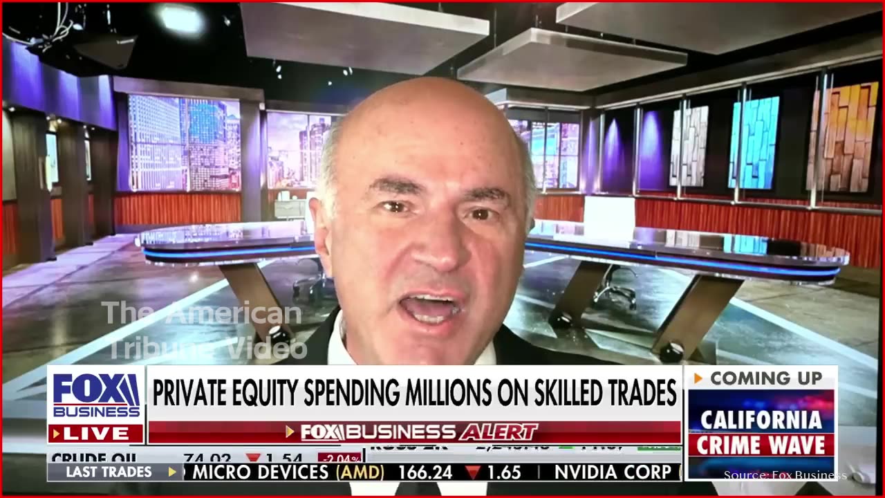 “Release the Hounds”: Mr. Wonderful Says Elon Slashing Government Waste is an Excellent Idea