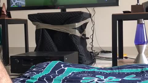 White pug looking at owner play video games