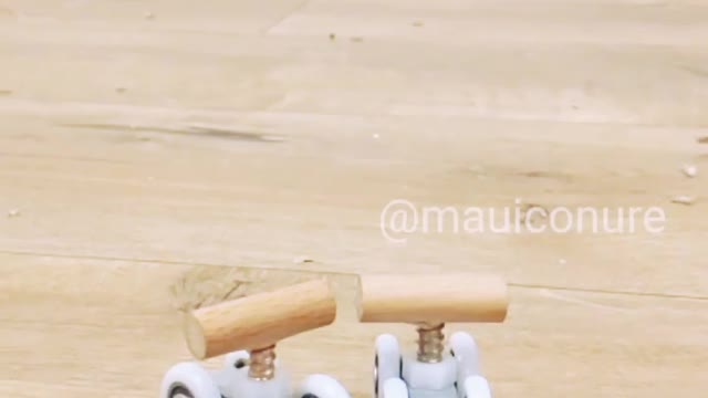 LUCY parrot ๐ข cycling and do some gym workout๐ข MAKE YOUR WISH IN REALITY ๐๐