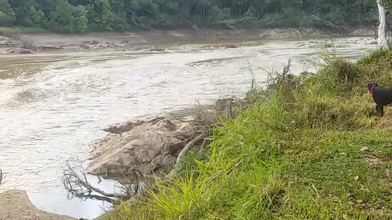 31.10.2024 The Barron River, Kuranda (2)