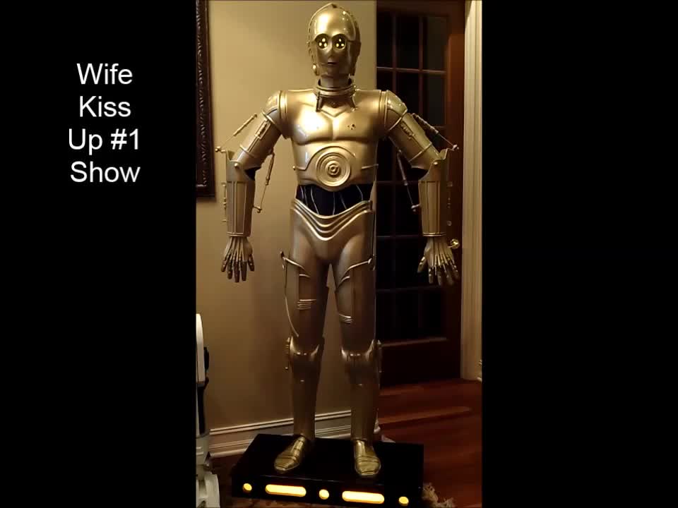 C3PO - Wife Show