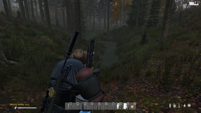 DayZ...short jaunt in the woods