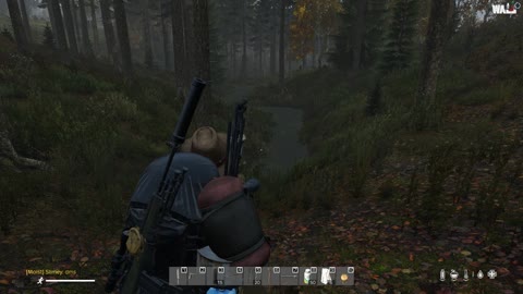 DayZ...short jaunt in the woods