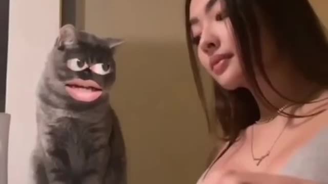 Funny cats reaction 😸 cats funny